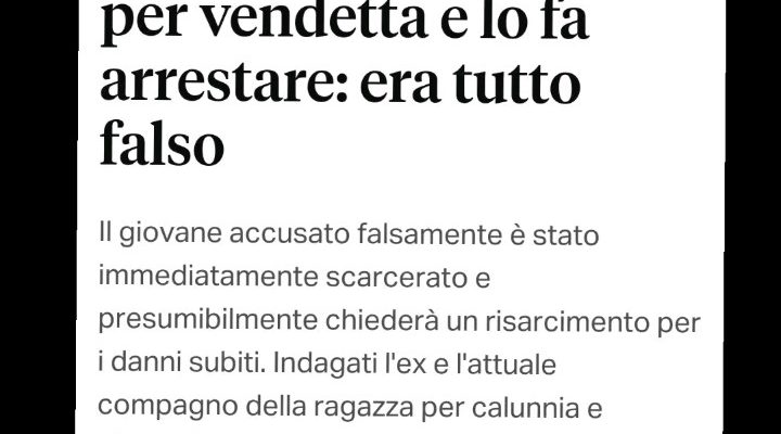 false accuse di stalking, zoccole e truffatrici, Codice Rosso pericoloso, femmine criminali, magistrate compiacenti, false accuse di violenza, Associazione Perseo, giustizia deviata, sud Italia criminalità, sistema giudiziario corrotto, potenza, basilicata, tribunale potenza